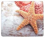 Acme MEGPCS mintás egérpad, tengeri csillag és kagylók 